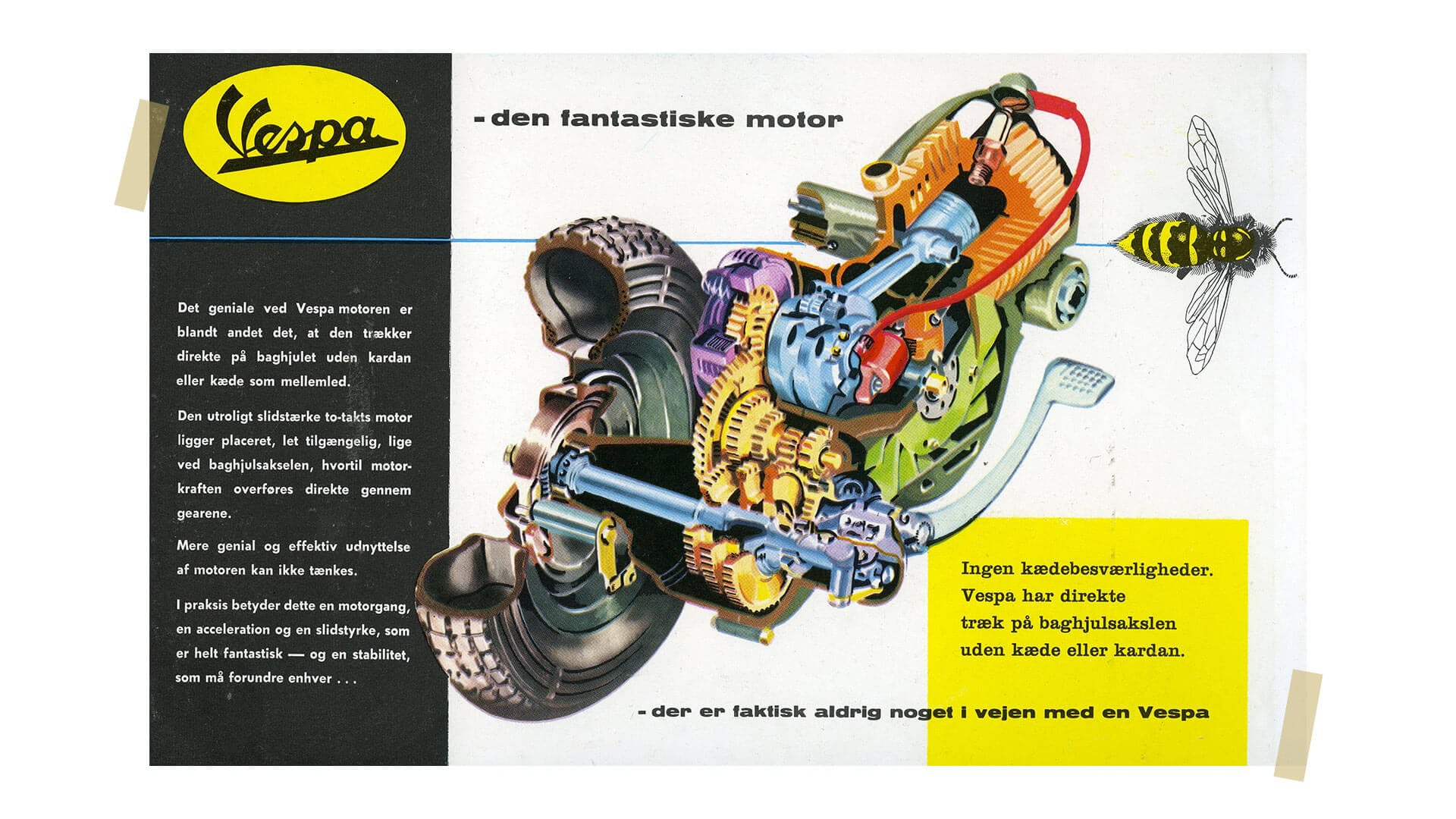 Not just Vespa. These are the insects you’ll want as pets.